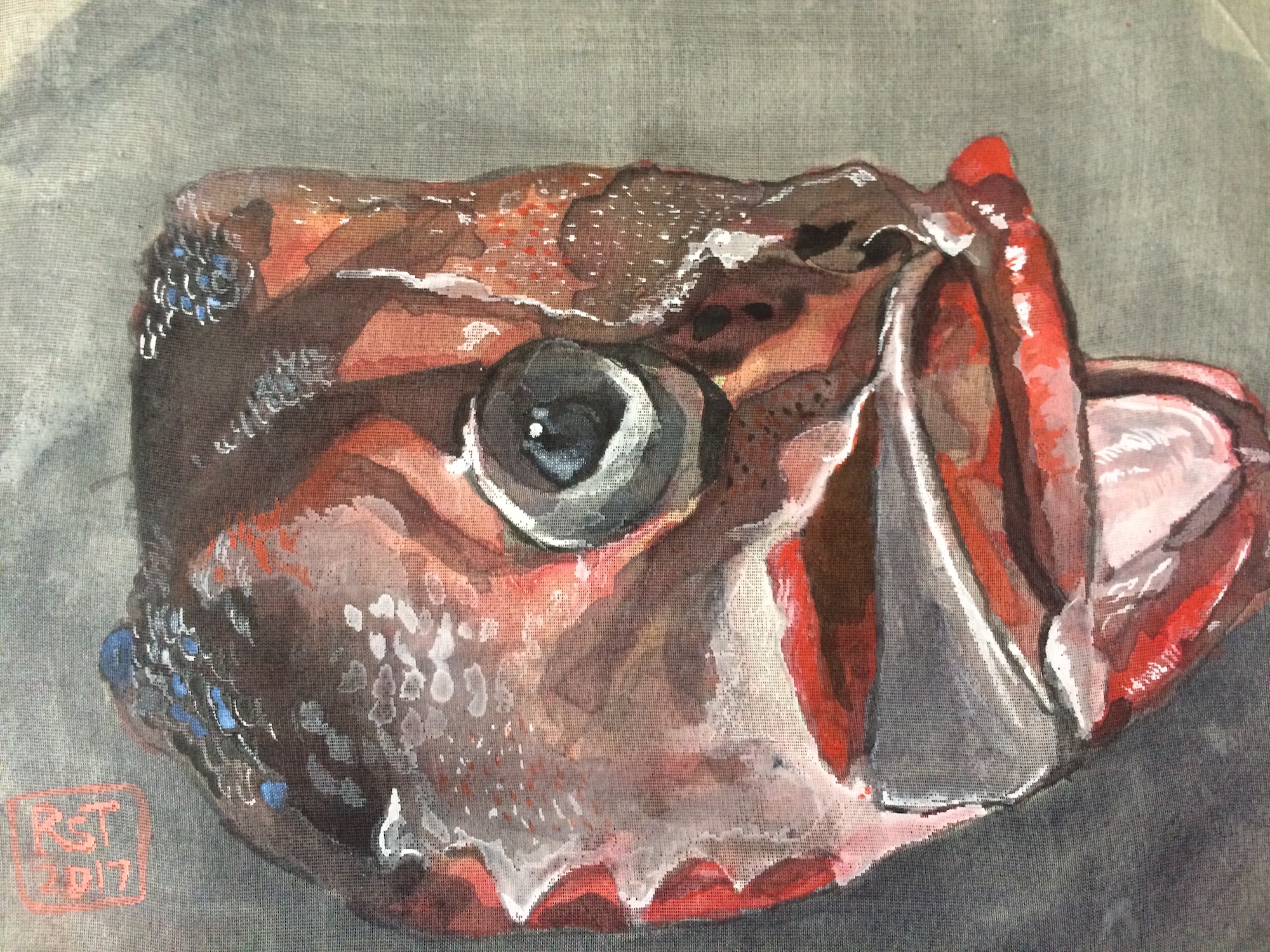 Fish Head Red
