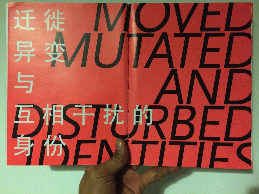 Moved, Mutated and Disturbed Identities