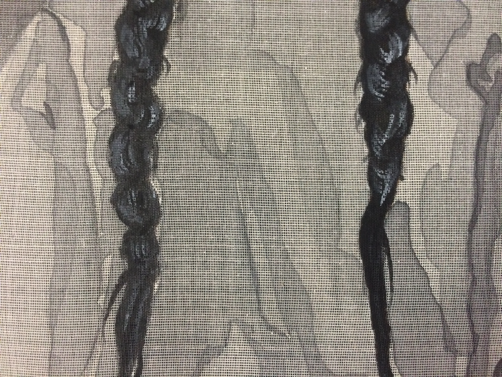 Parallel Braids